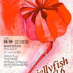 jellyfish vol.6